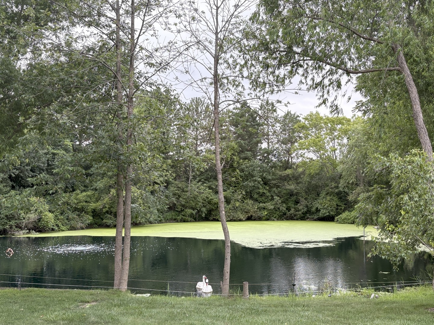1305 Gavin Court, Lake Forest, IL 60045