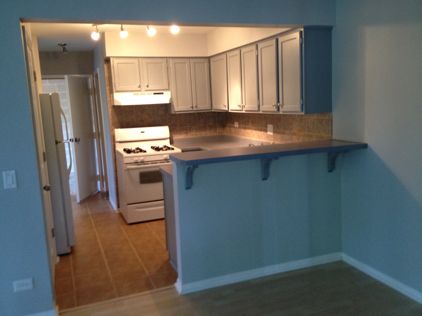 1300 Queensgreen Circle, Naperville, IL 60563