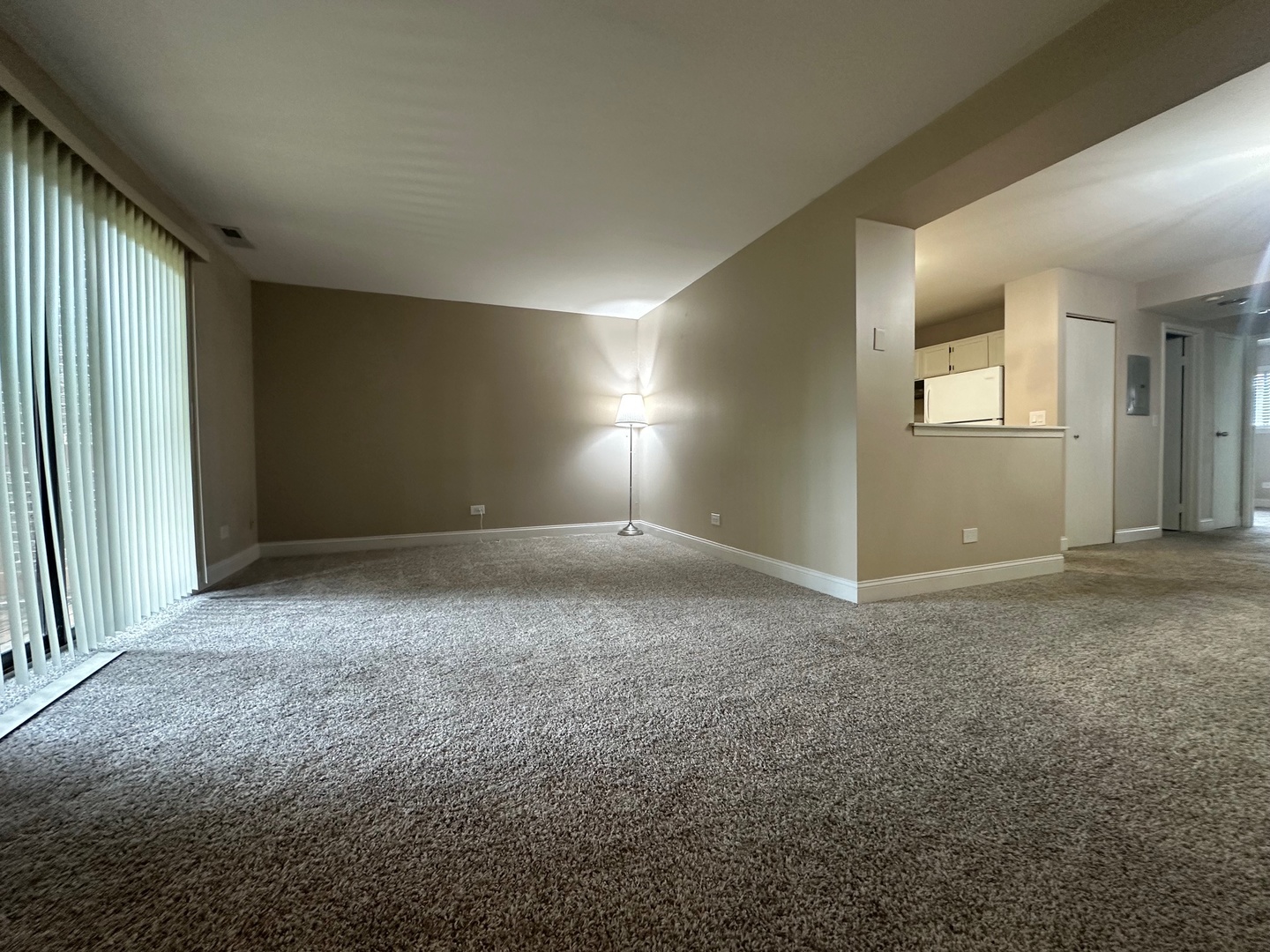 2226 Abbeywood Drive #B, Lisle, IL 60532