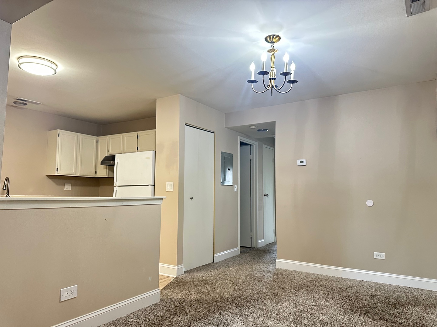 2226 Abbeywood Drive #B, Lisle, IL 60532
