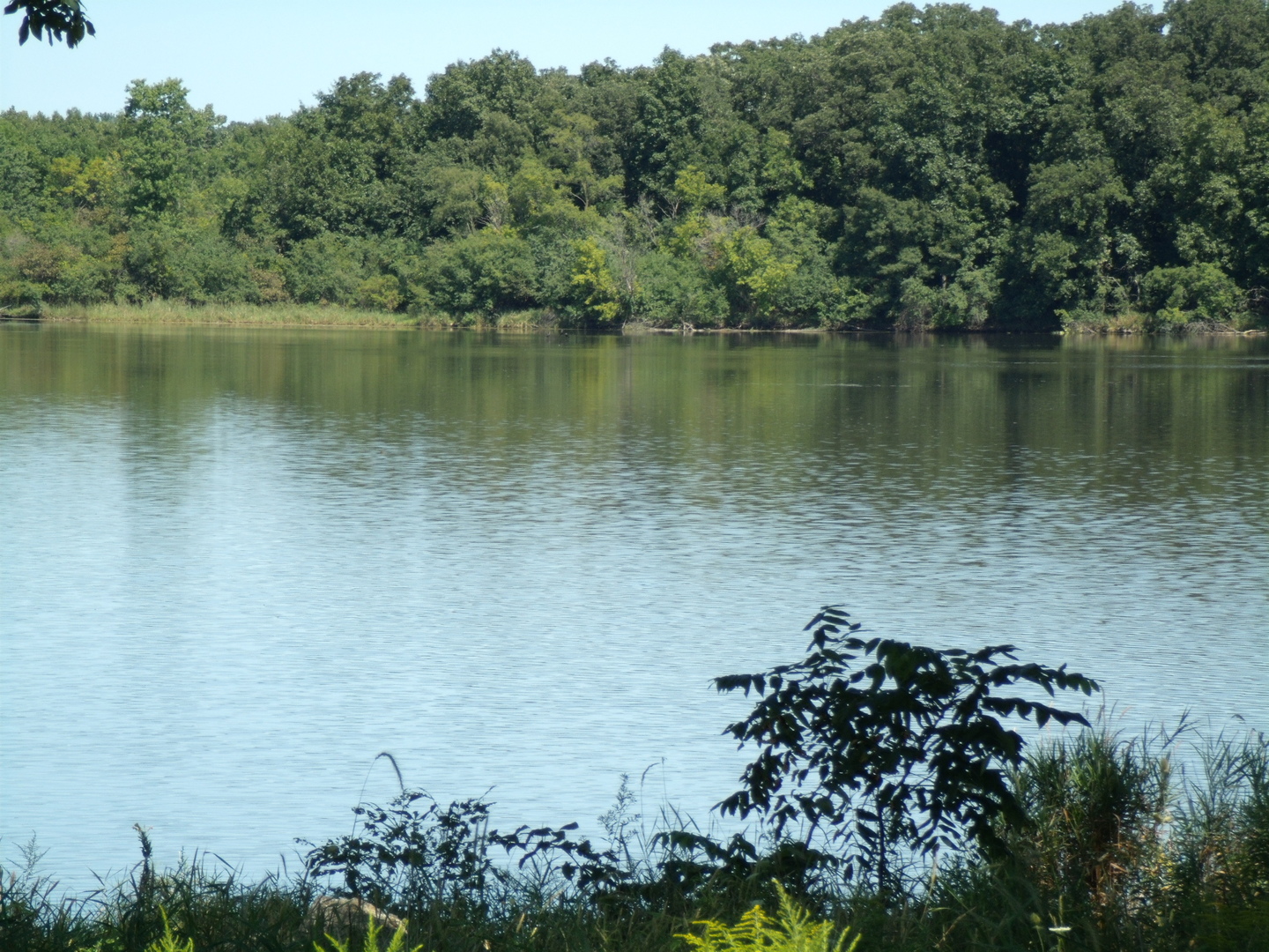 2143 Hassell Road, Hoffman Estates, IL 60169