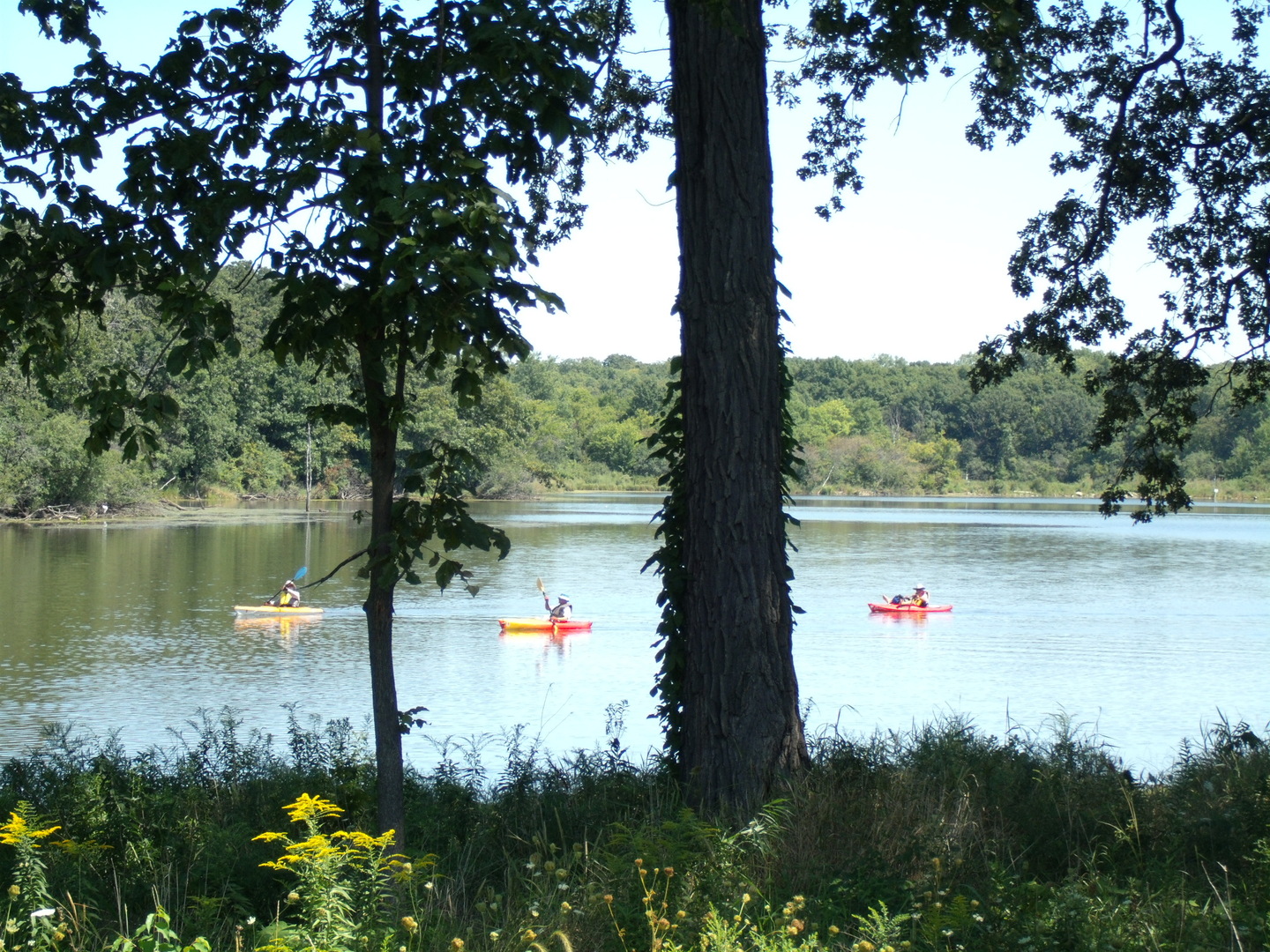 2143 Hassell Road, Hoffman Estates, IL 60169