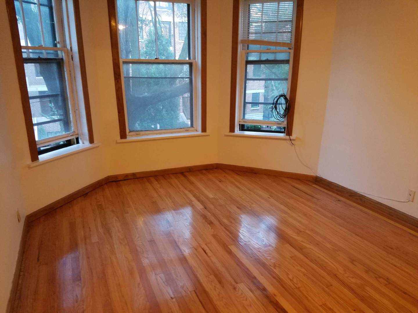 3728 N Wilton Avenue #2, Chicago, IL 60613