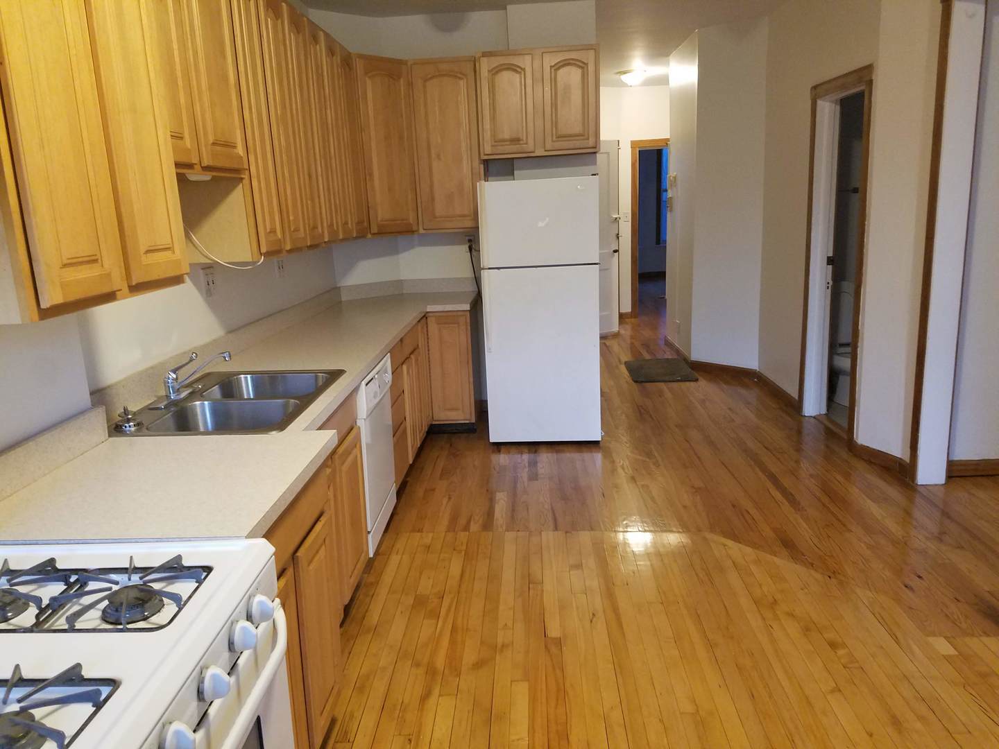 3728 N Wilton Avenue #2, Chicago, IL 60613