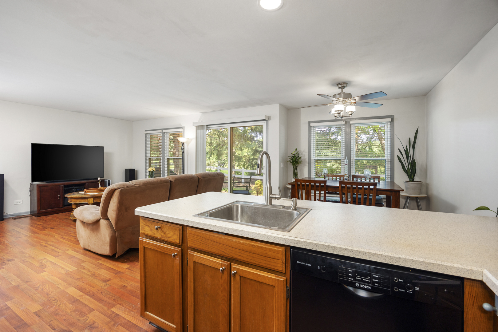 251 University Lane, Elk Grove Village, IL 60007