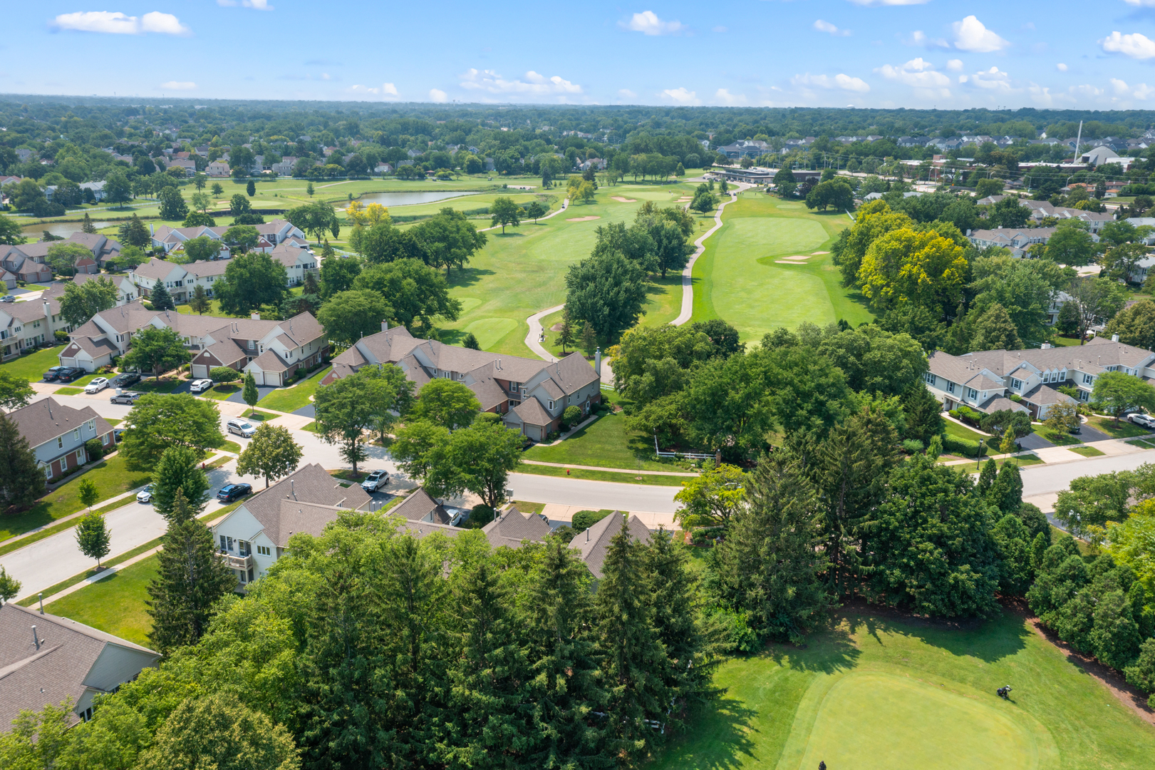 251 University Lane, Elk Grove Village, IL 60007