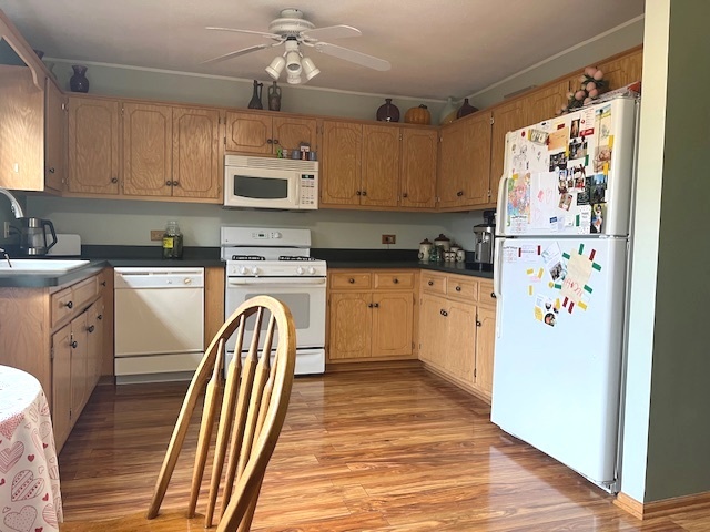 1005 Singer Avenue, Lemont, IL 60439