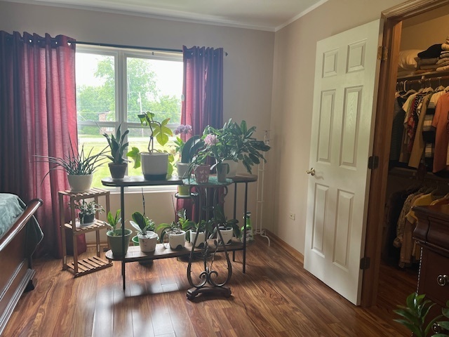 1005 Singer Avenue, Lemont, IL 60439
