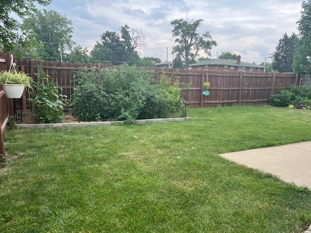 1005 Singer Avenue, Lemont, IL 60439