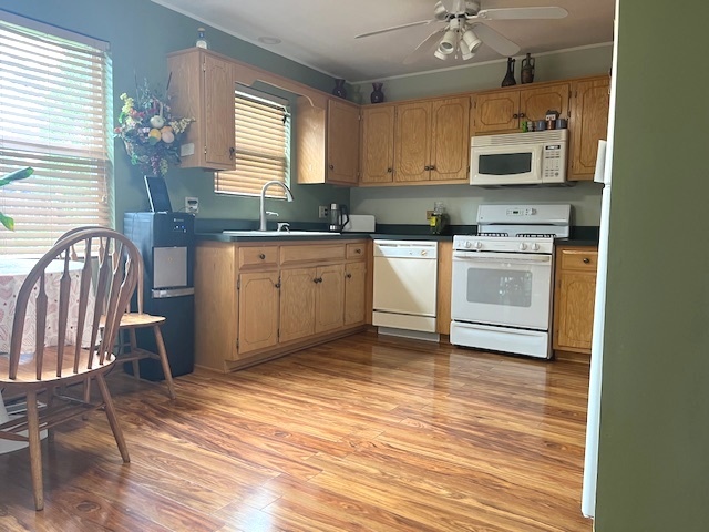 1005 Singer Avenue, Lemont, IL 60439