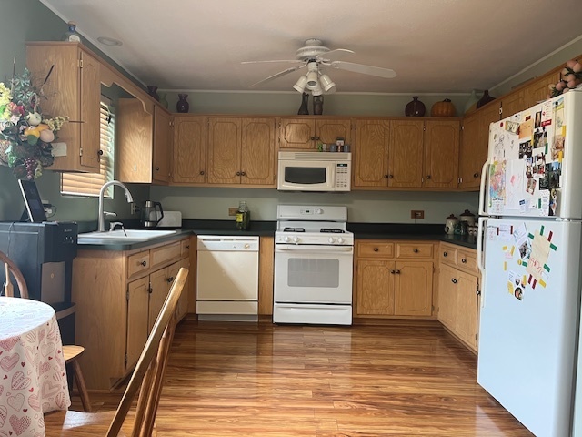 1005 Singer Avenue, Lemont, IL 60439