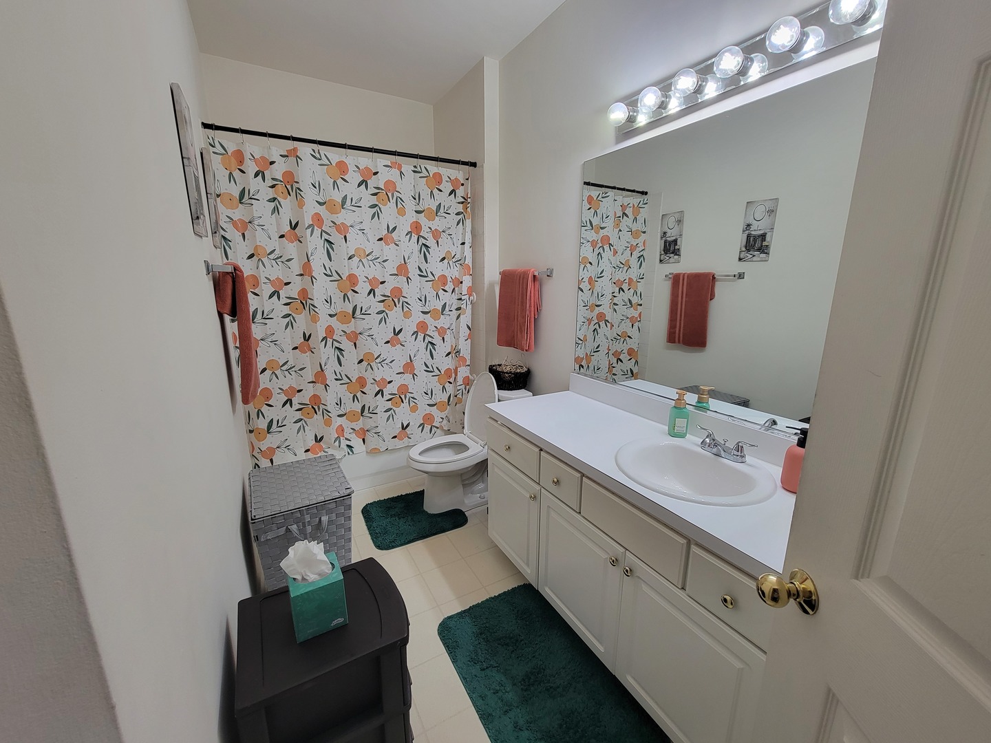 1343 Providence Circle, Elgin, IL 60120