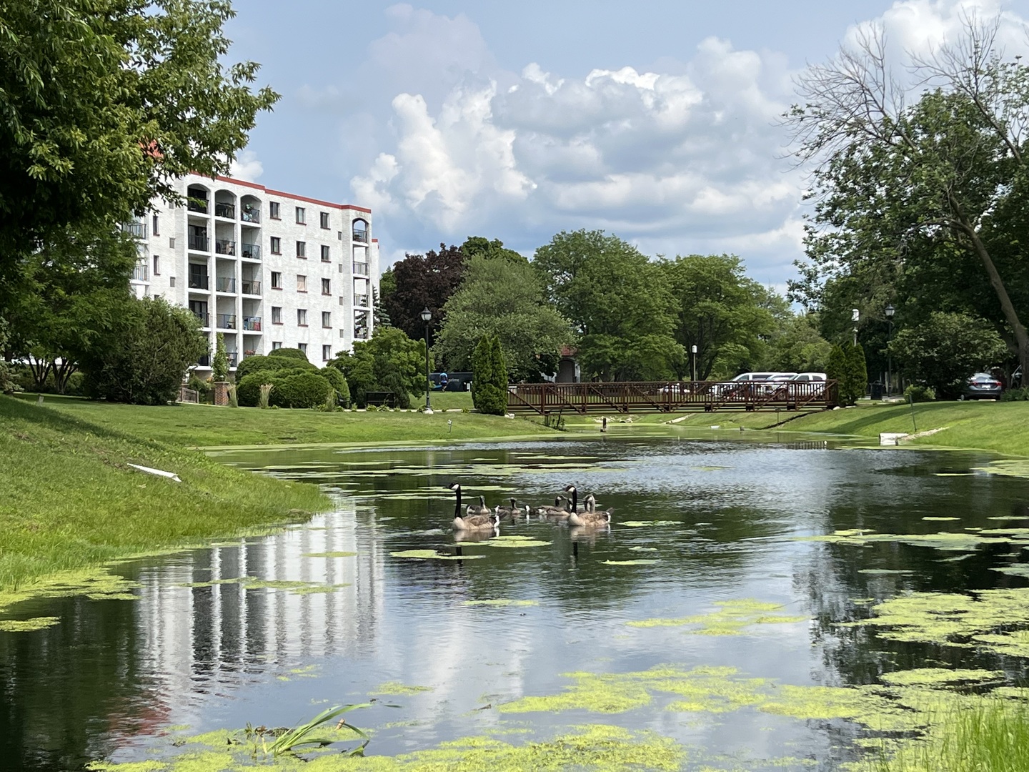350 Plum Creek Drive #410, Wheeling, IL 60090