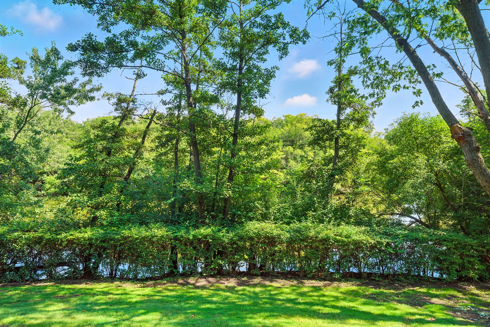 5605 Lakeside Drive #1F, Lisle, IL 60532