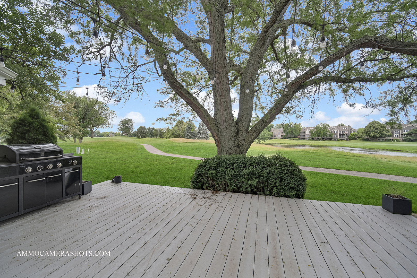 3901 White Eagle Drive, Naperville, IL 60564