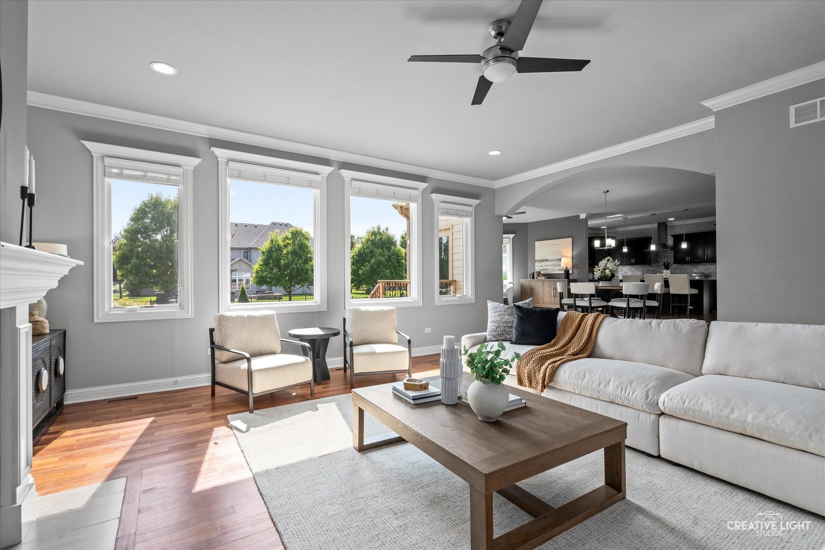 4604 Shumard Lane, Naperville, IL 60564
