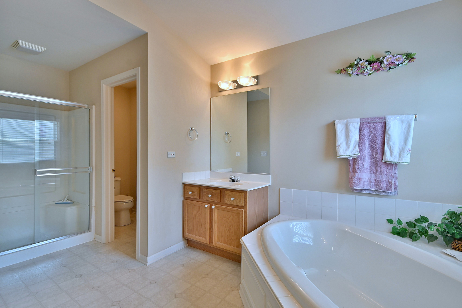 12910 Bradford Lane, Plainfield, IL 60585