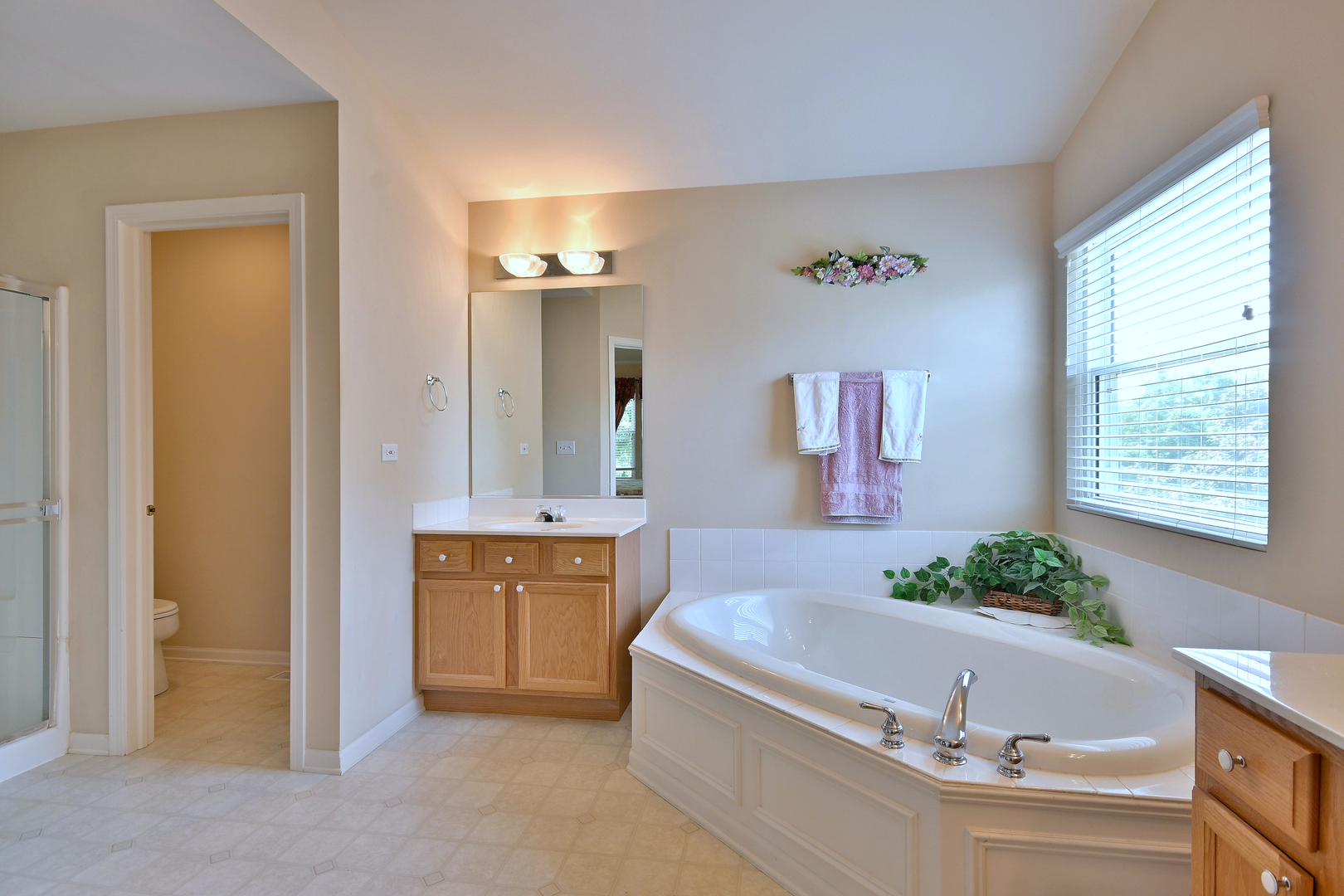 12910 Bradford Lane, Plainfield, IL 60585