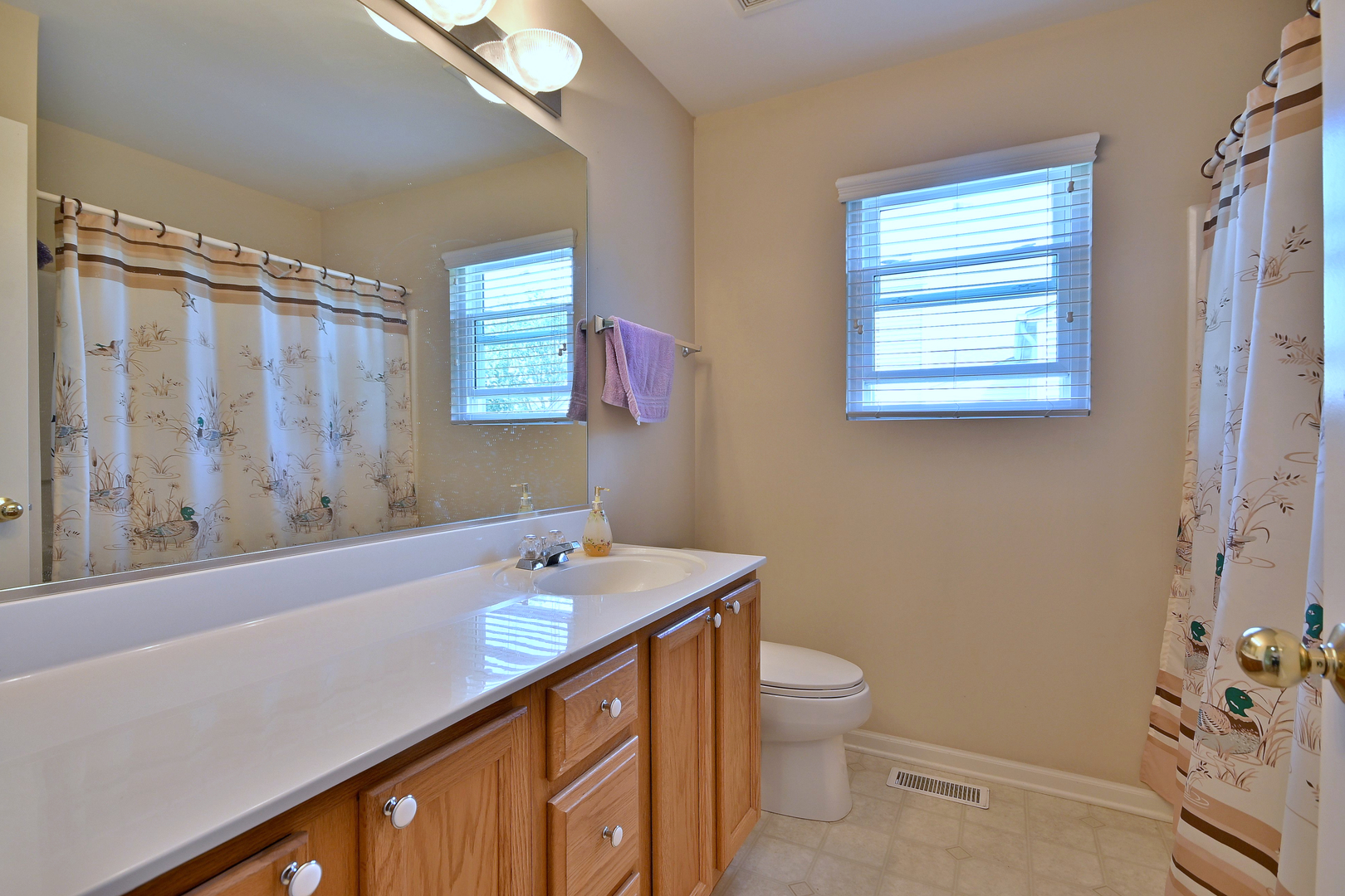 12910 Bradford Lane, Plainfield, IL 60585