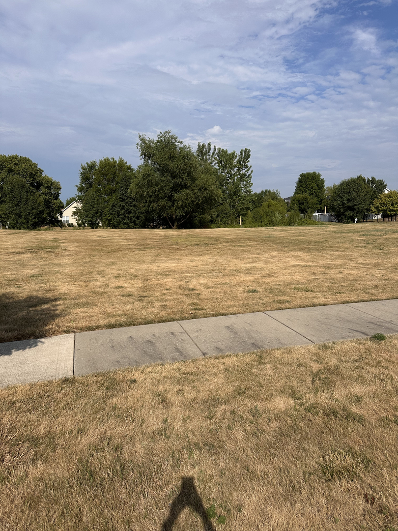 21059 Somerset Street, Shorewood, IL 60404