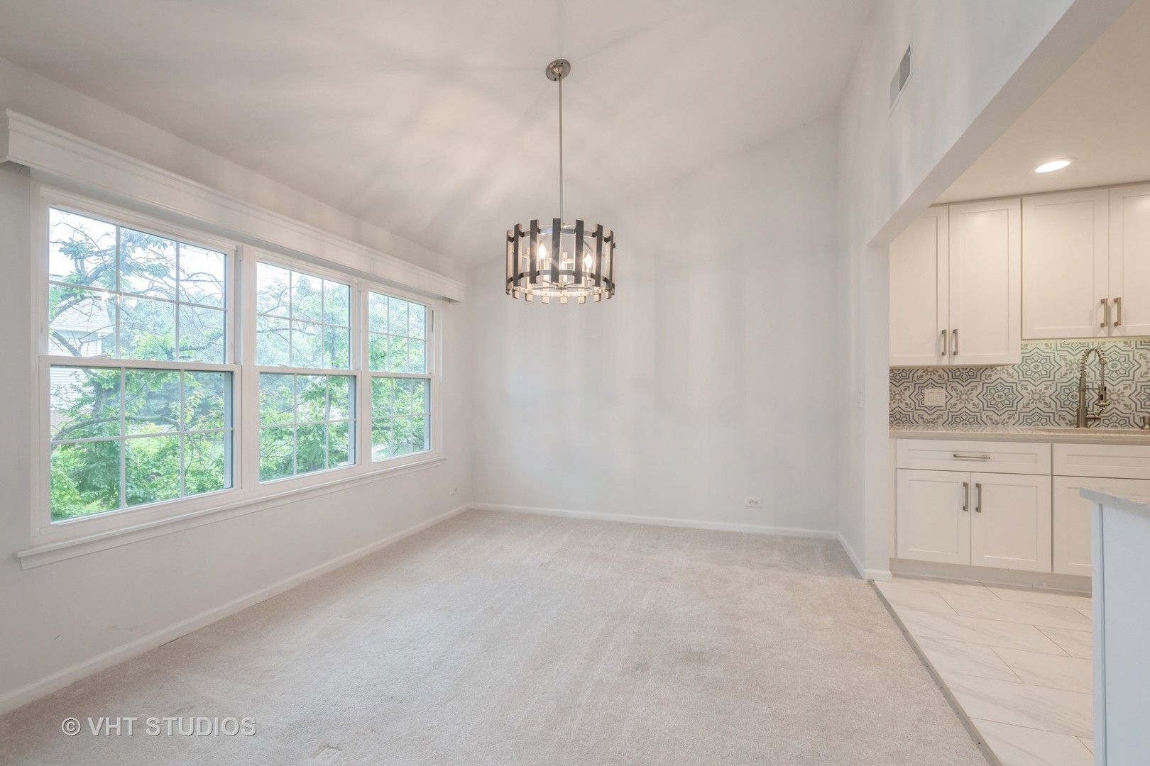 1007 Butternut Lane #C, Mount Prospect, IL 60056