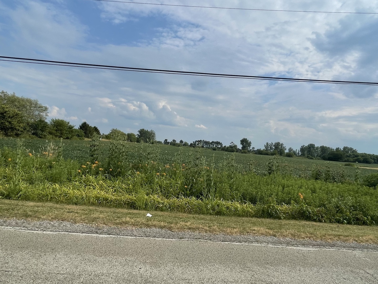 000 W Eagle Lake Road, Beecher, IL 60401