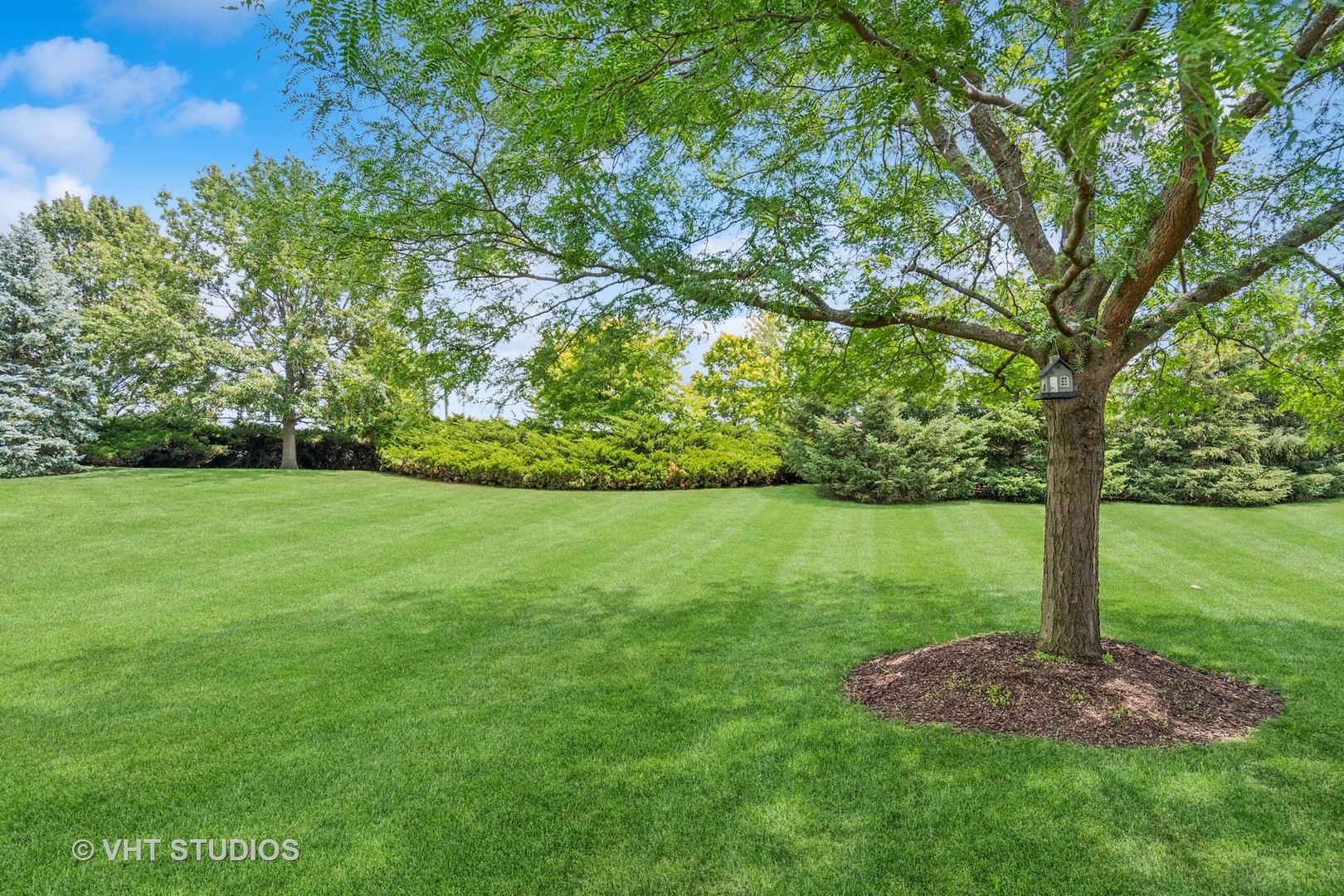 11954 Winterberry Lane, Plainfield, IL 60585
