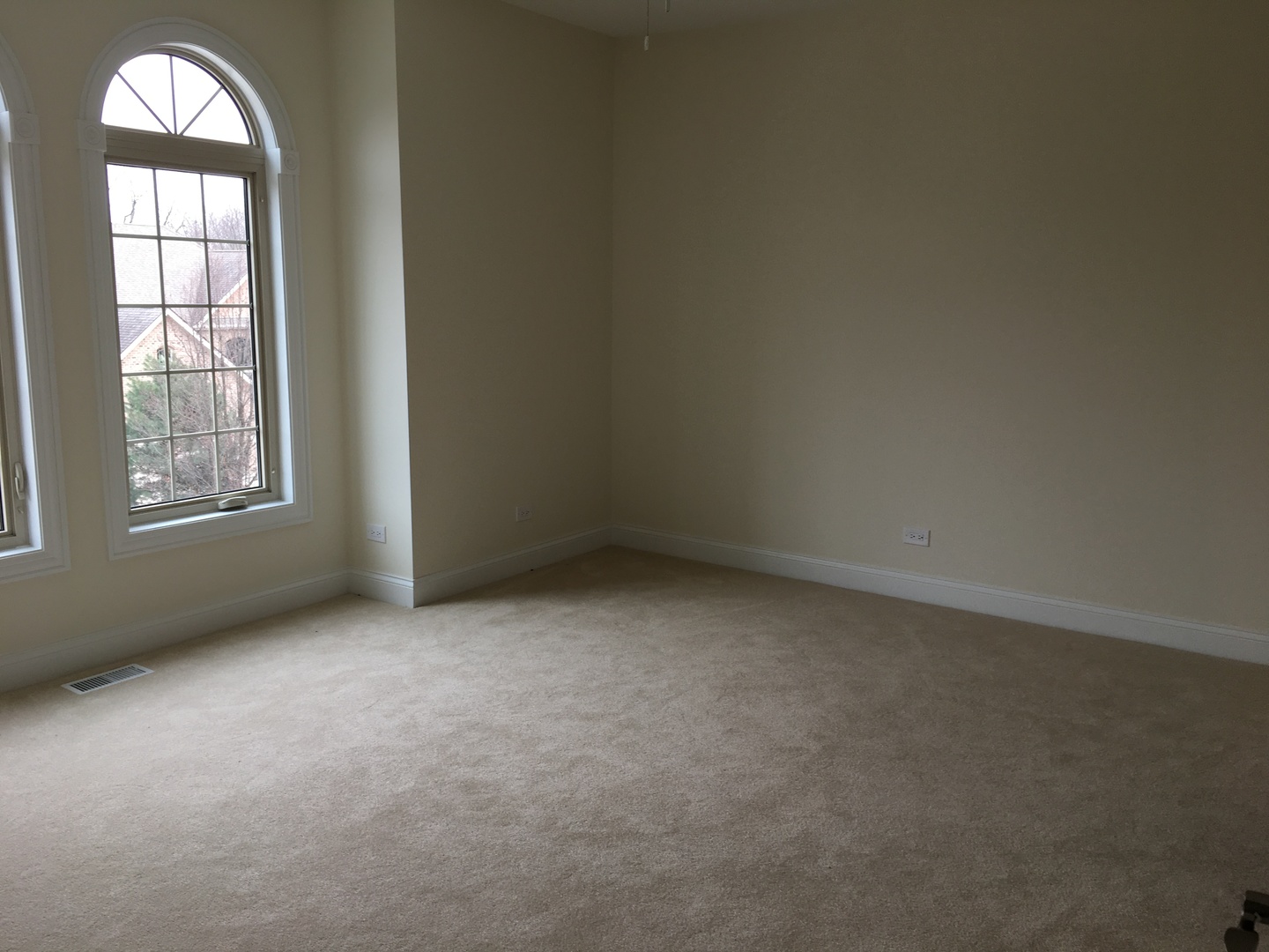 910 East Street, Lemont, IL 60439