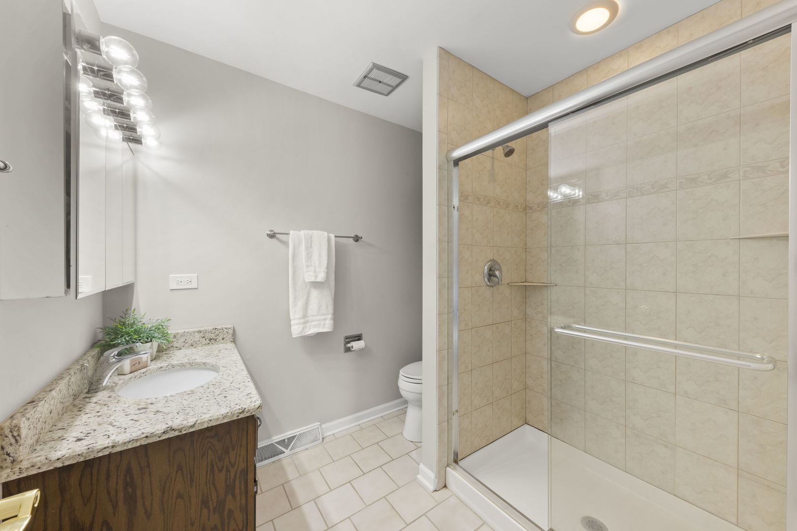 1425 Brush Hill Circle, Naperville, IL 60540
