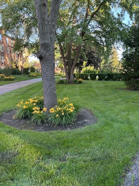 1106 S New Wilke Road #209, Arlington Heights, IL 60005