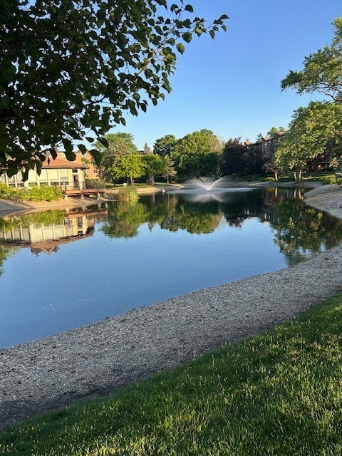 1106 S New Wilke Road #209, Arlington Heights, IL 60005