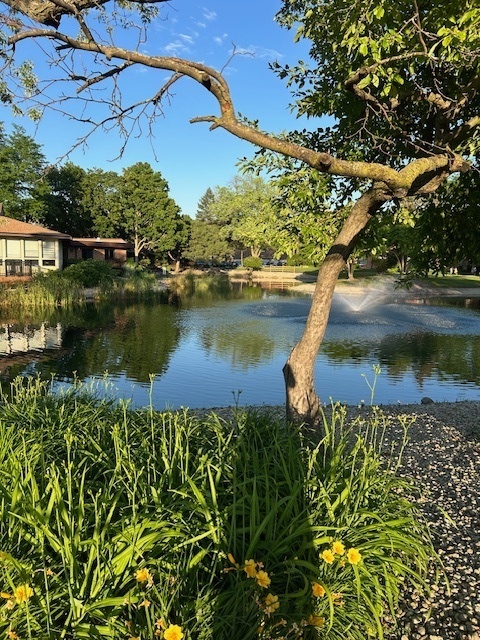 1106 S New Wilke Road #209, Arlington Heights, IL 60005