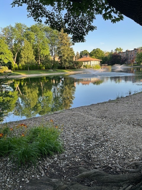 1106 S New Wilke Road #209, Arlington Heights, IL 60005