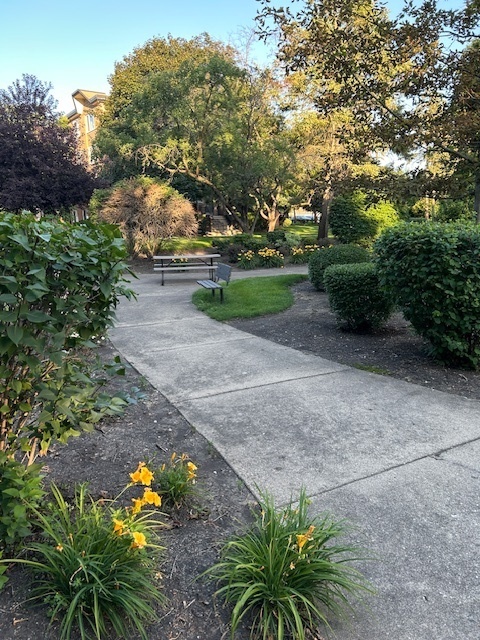 1106 S New Wilke Road #209, Arlington Heights, IL 60005