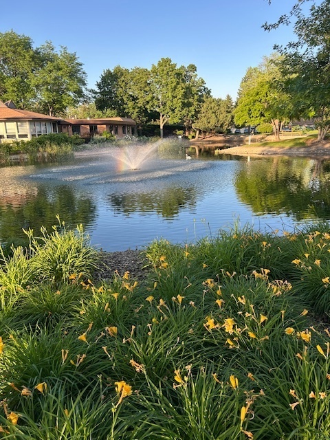1106 S New Wilke Road #209, Arlington Heights, IL 60005
