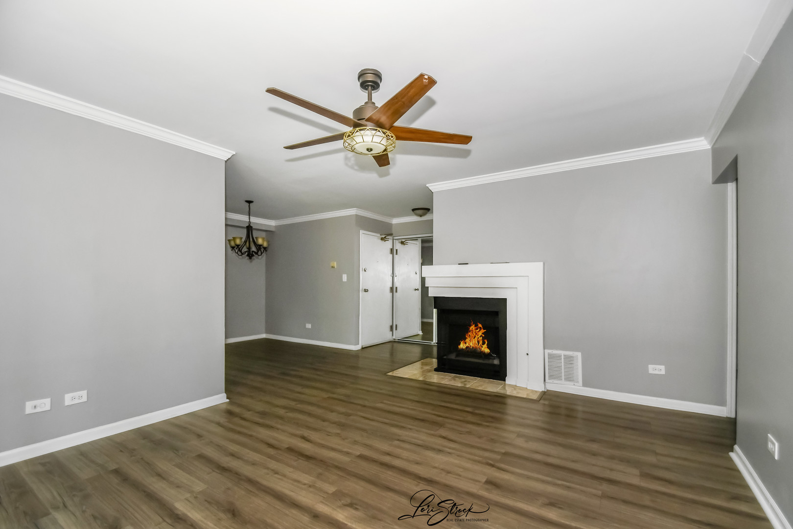 7000 Remington Court #102, Woodridge, IL 60517