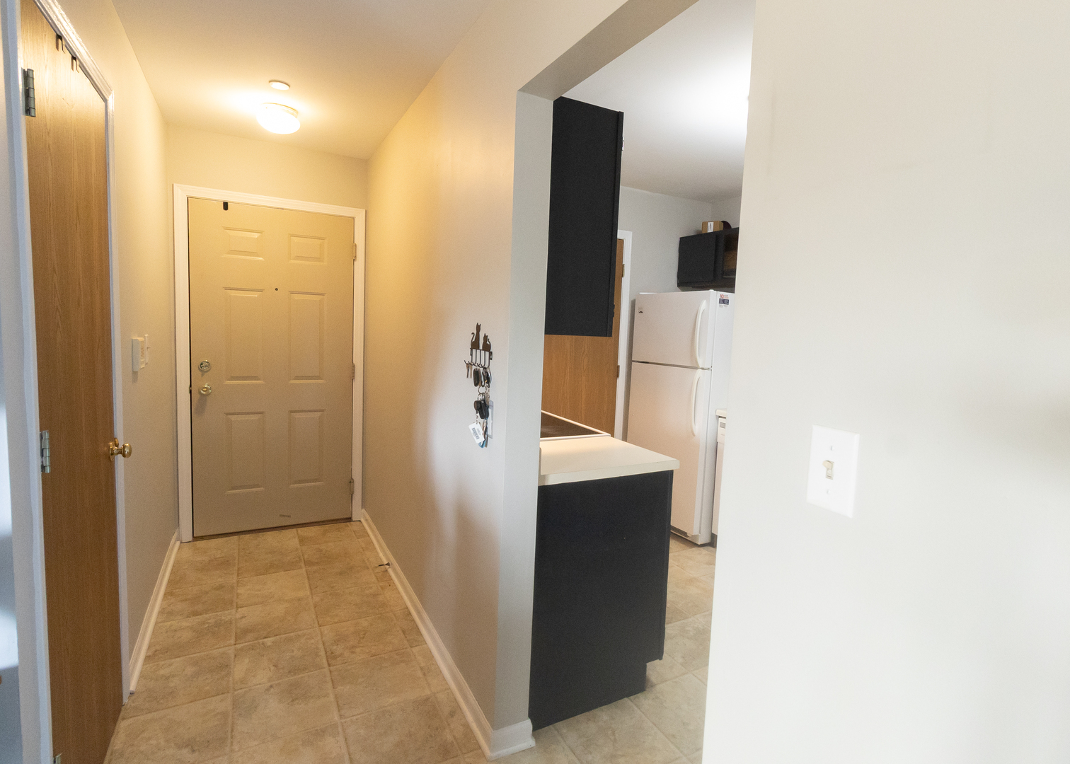 1373 Cunat Court #1B, Lake In The Hills, IL 60156