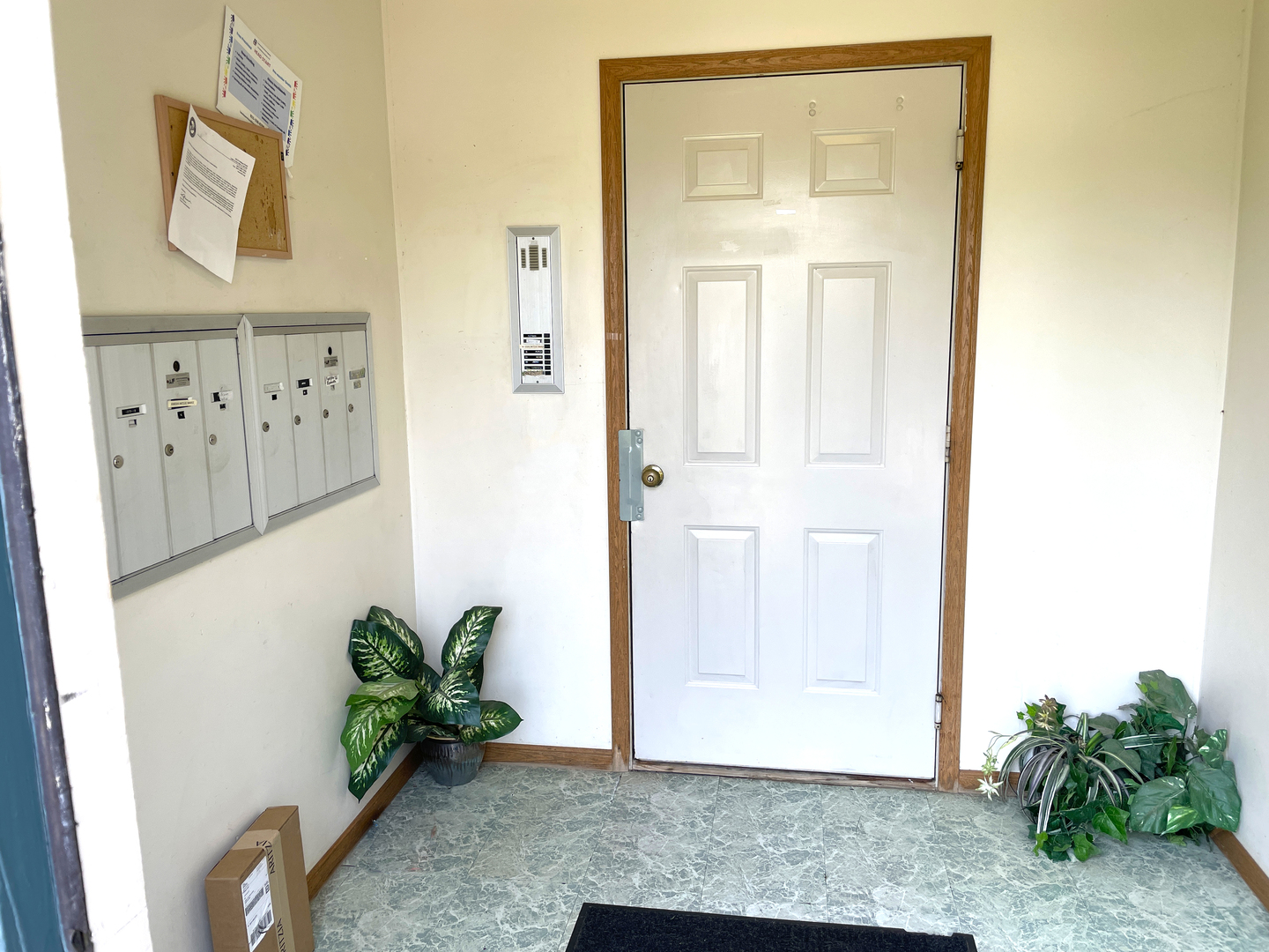 1373 Cunat Court #1B, Lake In The Hills, IL 60156