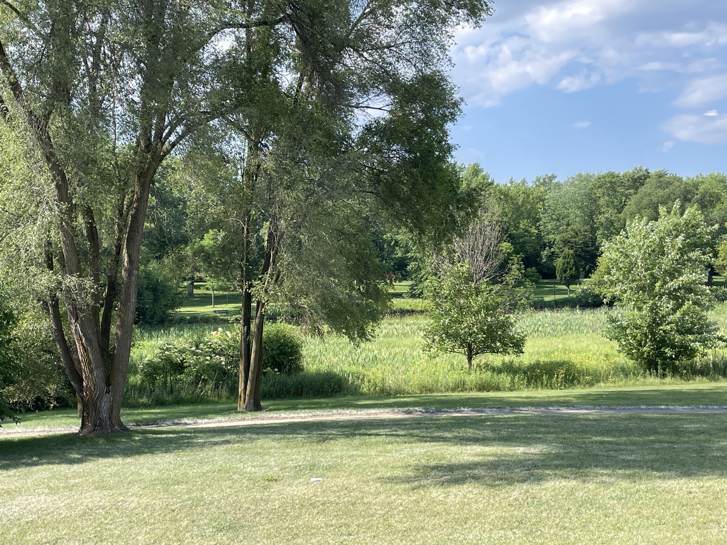 1373 Cunat Court #1B, Lake In The Hills, IL 60156