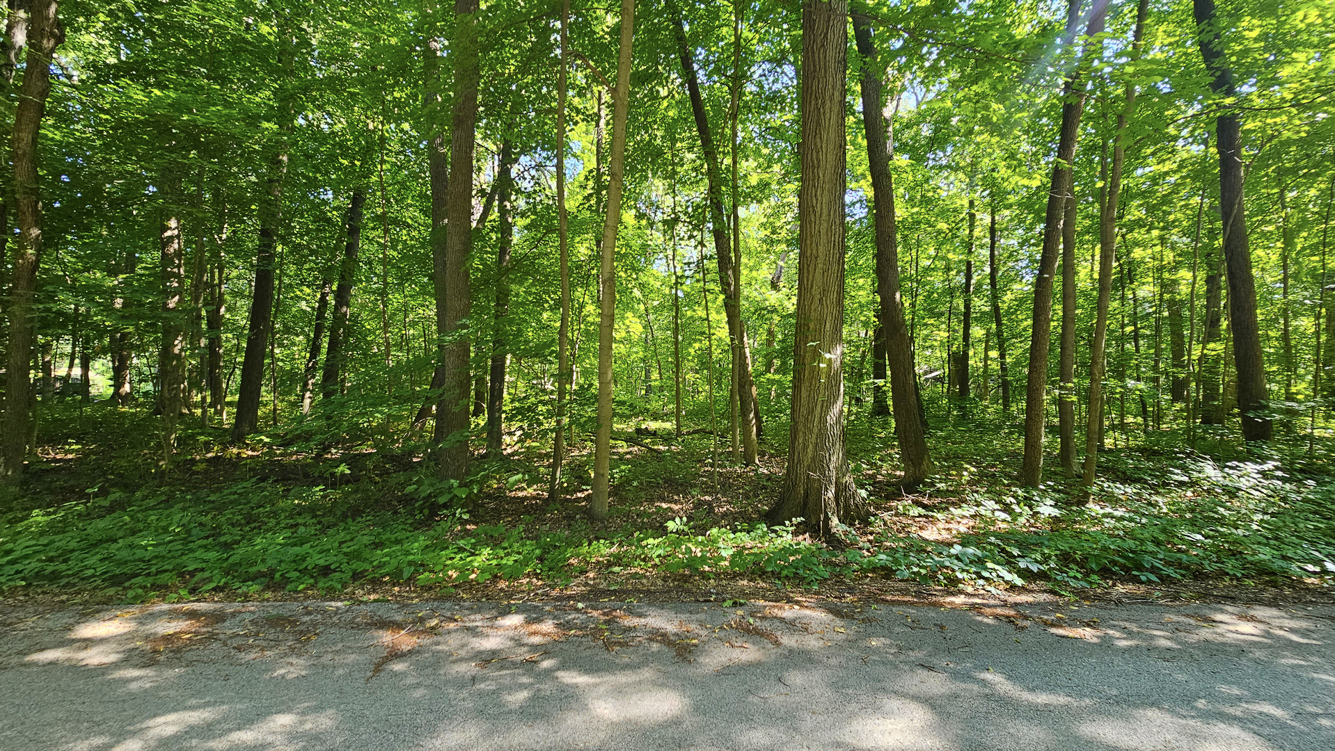 5639 W Timberlane Road, Monee, IL 60449