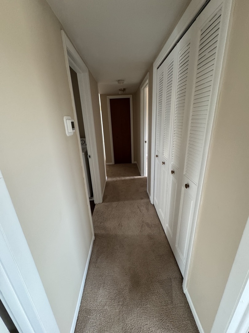 17 E Park Street #1, Mundelein, IL 60060
