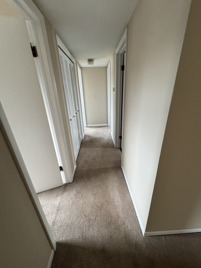 17 E Park Street #1, Mundelein, IL 60060