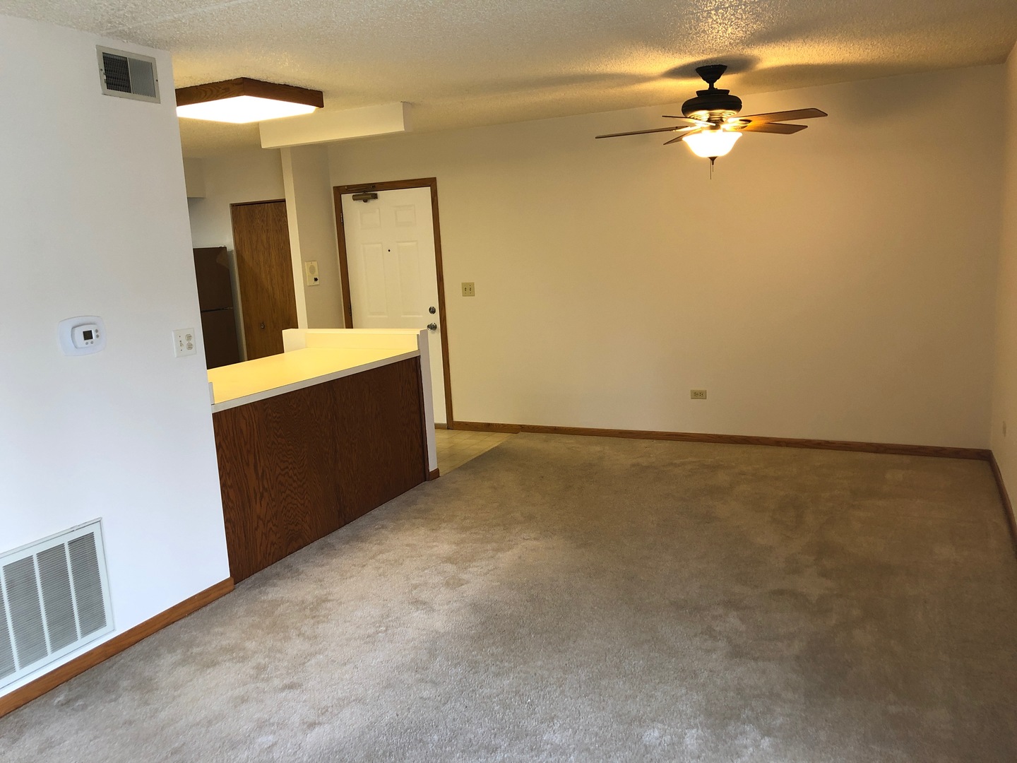 868 N Prairie Avenue #1D, Joliet, IL 60435
