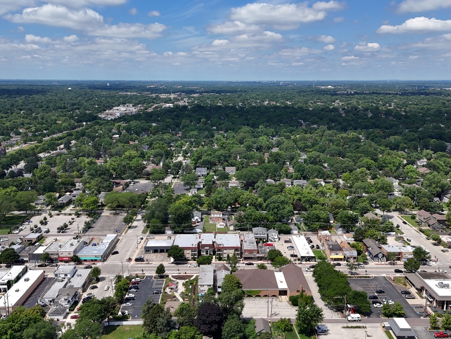 113 N Warwick Avenue, Westmont, IL 60559