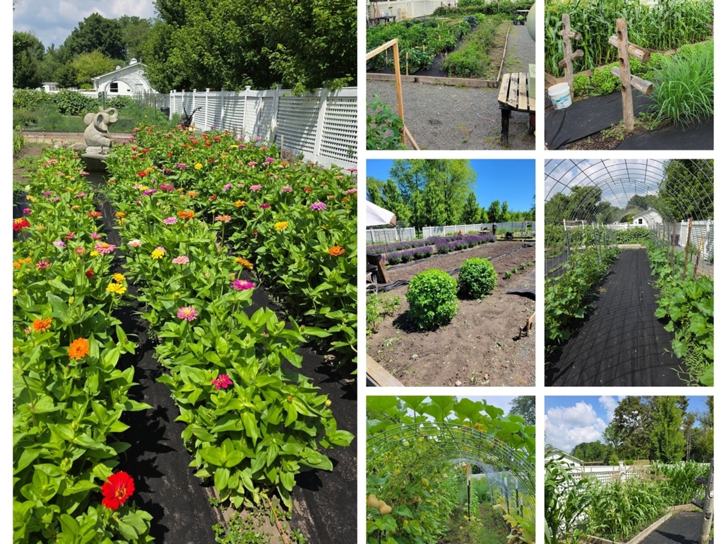 404 Caesar Drive, Barrington Hills, IL 60010