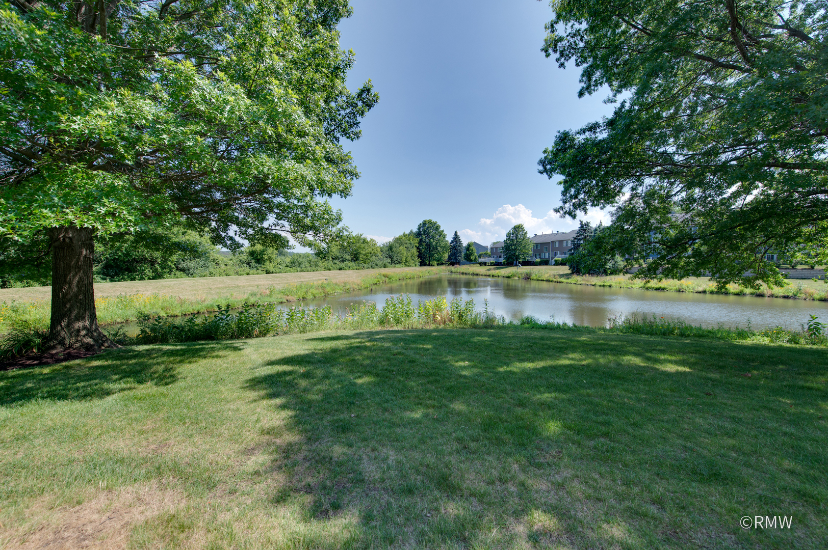 1261 River Ash Court, Bartlett, IL 60103