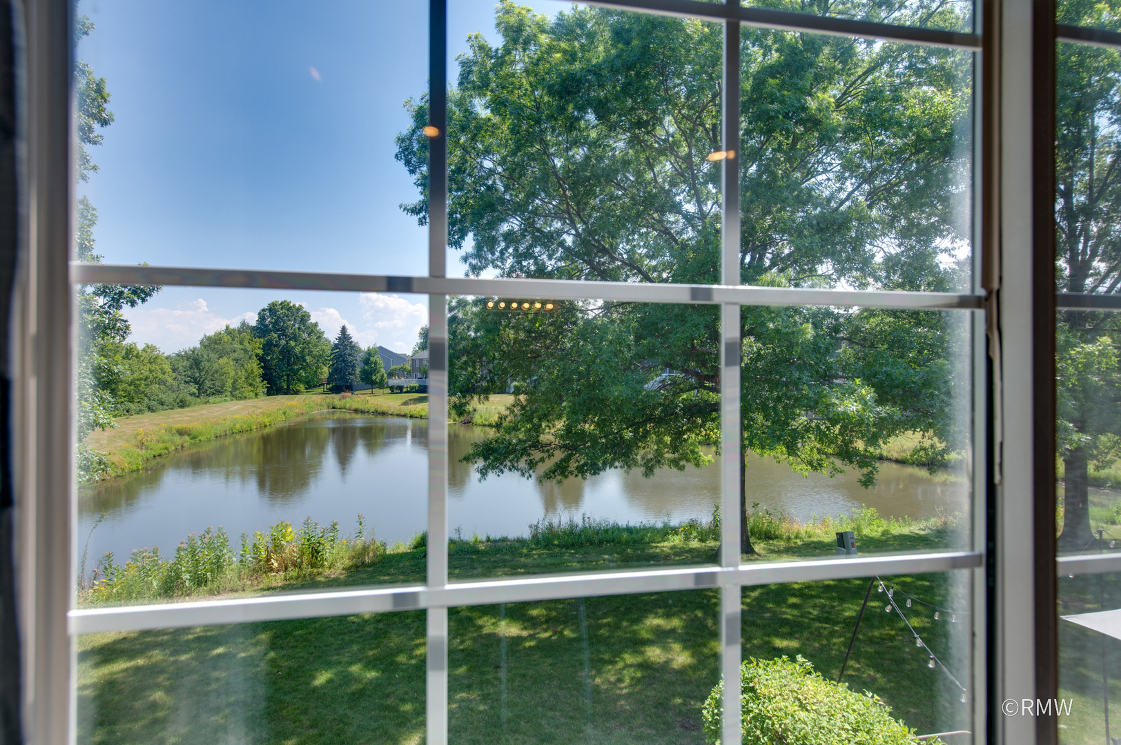 1261 River Ash Court, Bartlett, IL 60103