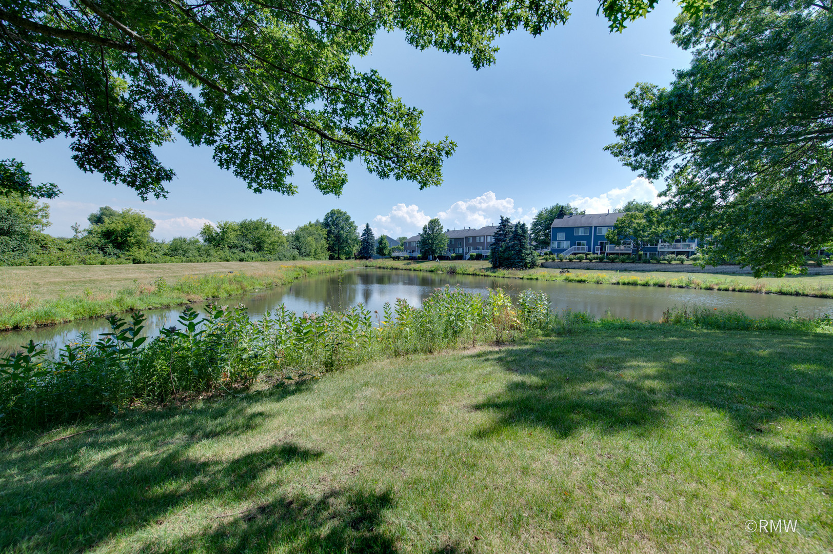 1261 River Ash Court, Bartlett, IL 60103