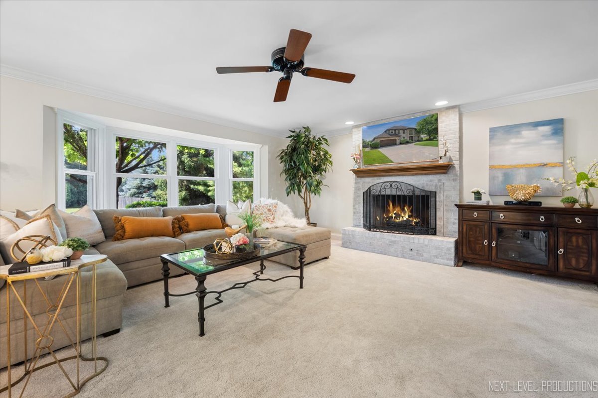 621 Dilorenzo Drive, Naperville, IL 60565
