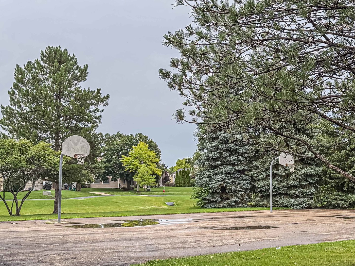 136 Windwood Court #31, Buffalo Grove, IL 60089